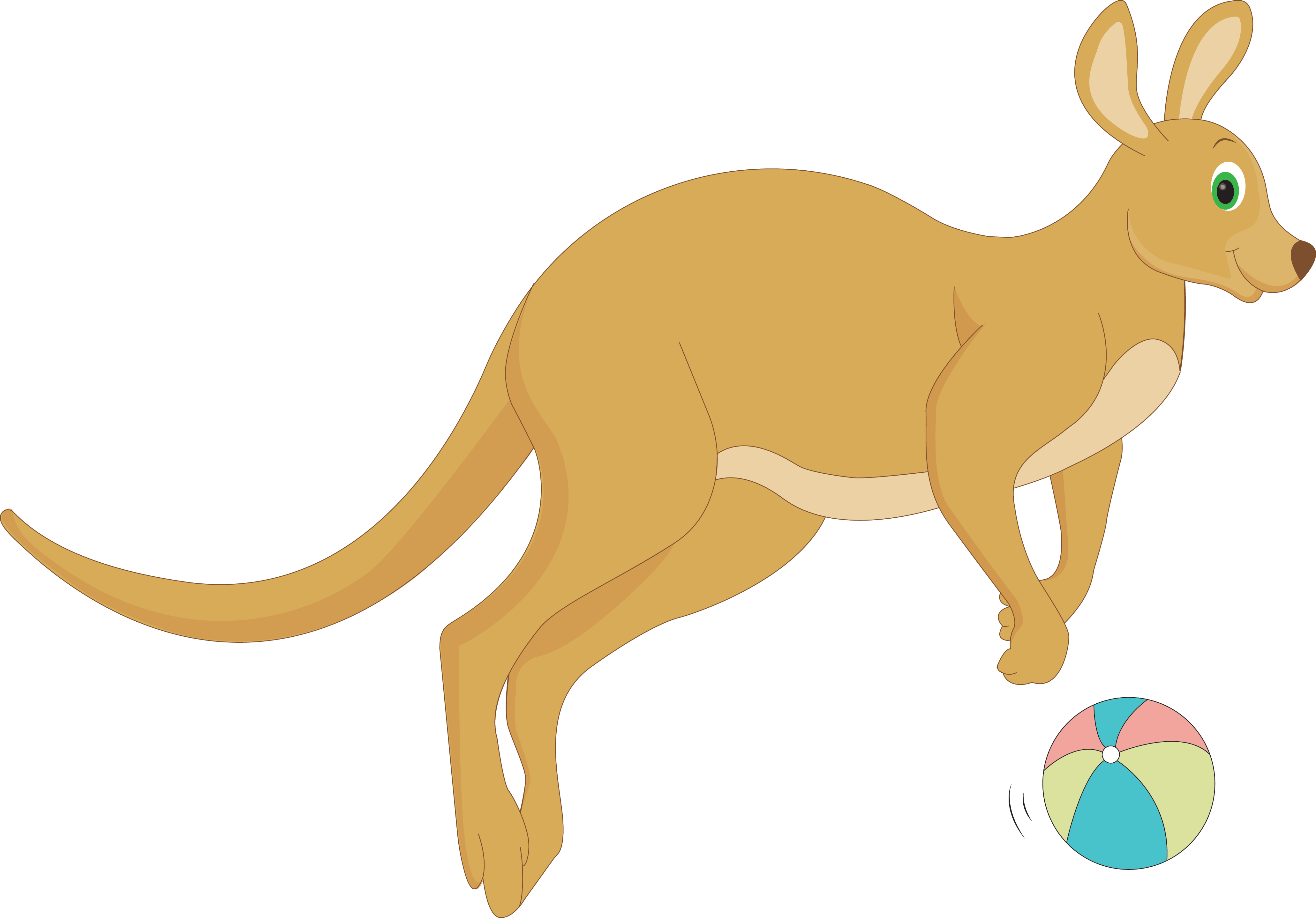 Swimcool-kangoeroe